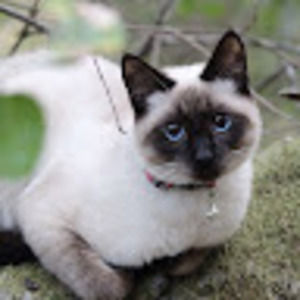 Meet your Posher, Cale